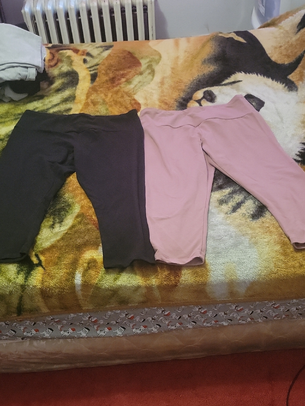 3 Of The Sweatshirt Project Capris